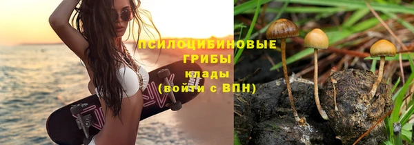 соль курить ск Армянск